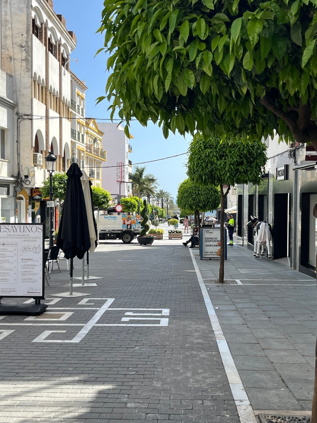 Navigating the Chaos of Driving in&nbsp;Spain